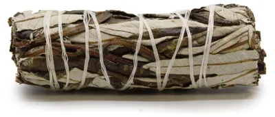 Obrázek produktu pro Svaček bylinek - šalvěj Yerba Santa, 10 cm