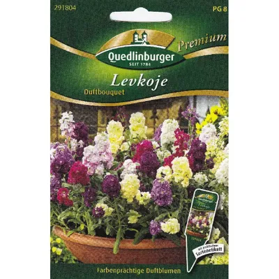 Zdjęcie produktu dla Quedlinburger Saatgut - Levkojen Duftbouquet - nasiona - 291804