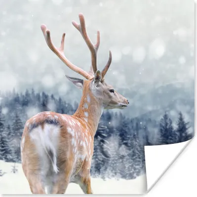 Produktbild von MuchoWow® Poster Winter - Hirsche - Tiere 75x75 cm - Wand Dekoration