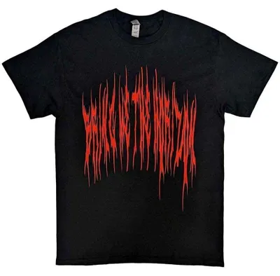 Obrázek produktu pro Bring Me The Horizon Praying Amen (Back Print) Black M Tričko