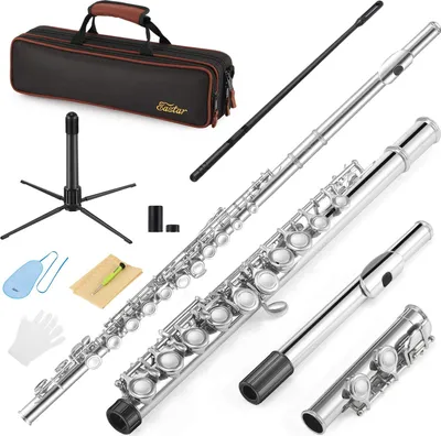 Produktbild von Eastar EFL-1 16 Keys Flute Nickel Plated Close Hole