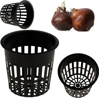 Image de Pot de plantation cellulaire 9,8X10,8Cm