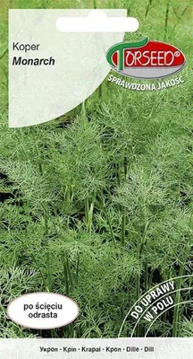 Produktbild von Gartenfenchelsamen „Monarch“ 5 g – Torseed
