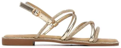 Imagen del producto de Sandalias RIP CURL 145106 SANDALIA SRA para Mujer