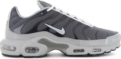 Produktbild von Nike Air Max Plus "Year of the Snake" Grau, Größe: 44