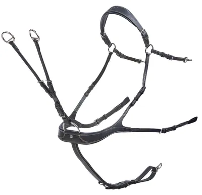 Immagine prodotto di BUSSE Linea di decollo del pettorale AP Nero VB/WB