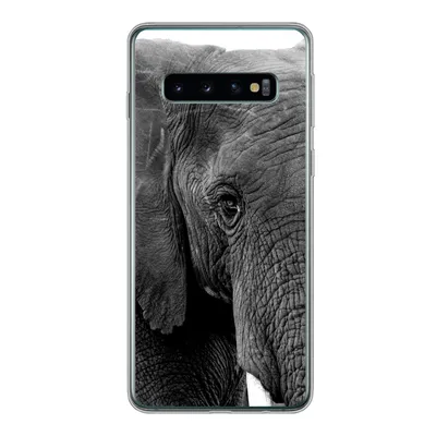 Produktbild von MuchoWow® Handyhülle Schutzhülle Hülle für Samsung Galaxy S10 Elefant - Tiere - Schwarz - Weiß - Natur Silikon Softcase Handy Hülle - Handytasche