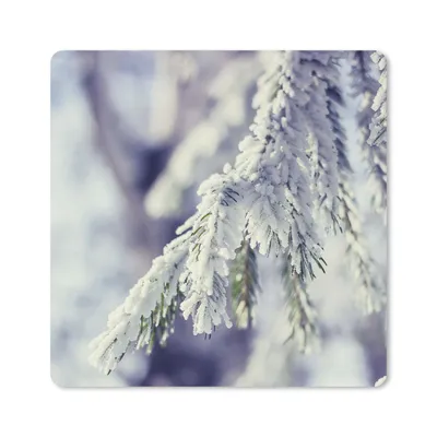 Produktbild von MuchoWow® Mauspad Mousepad Winter - Tannenbaum - Schnee - Ländlich 20x20 cm - Mousepads - Maus Mat - Pad - Mausunterlage - Desk Mat - Bureauartikeln