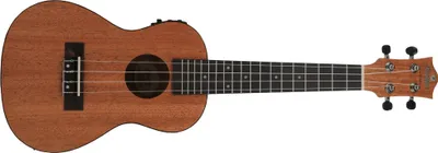 Immagine prodotto di Prodipe Guitars BC210 EQ