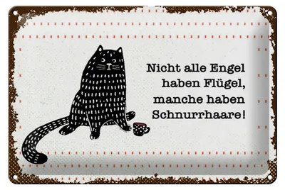 Produktbild von Blechschild Spruch 12x18 cm Nicht jeder Engel Schild