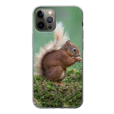 Produktbild von MuchoWow® Handyhülle Schutzhülle Hülle für iPhone 12 Pro Waldtier - Eichhörnchen - Moos Silikon Softcase Handy Hülle - Abdeckung