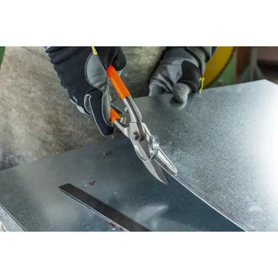 Image de Cisaille forgée universelle 250 mm EDMA - 12055