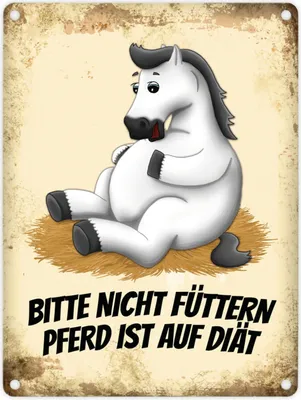 Produktbild von Metallschild mit weißes Pferd Motiv und Spruch: Bitte nicht füttern - Pferd ist
