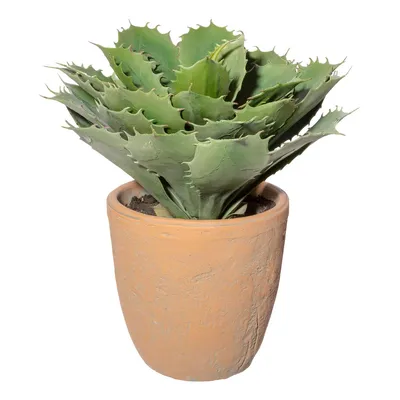 Obrázok produktu pre Umelý sukulent echéveria zelená 32 cm v terakotovom kvetináči 17,5x17,5 cm so zeminou