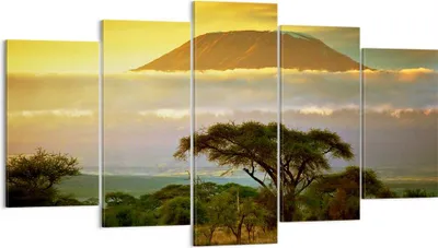 Produktbild von Bild auf Leinwand - Leinwandbild - Safari Tierwelt Berg Kenia - 160x85cm - Wand Bild - Wanddeko - Leinwanddruck - Bilder - Kunstdruck - Wanddekoration - Leinwand bilder - Wandkunst - EA160x85-3170