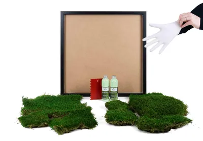 Produktbild von Moosbild DIY-Set Flat Design (55x55, schwarz)