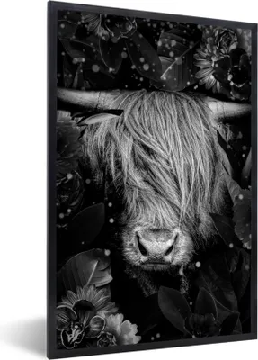 Produktbild von MuchoWow® Gerahmtes Poster Botanischer schottischer Highlander mit hellen Kugeln auf abgedunkeltem Hintergrund - schwarz und weiß 40x60 cm - Poster mit Schwarzem Bilderrahmen Wandposter Rahmen Foto Bilder - Papierdruck - Wandbilder