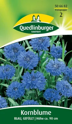 Produktbild von Quedlinburger Saatgut - Kornblume Blau gefüllt - Samen - 506602