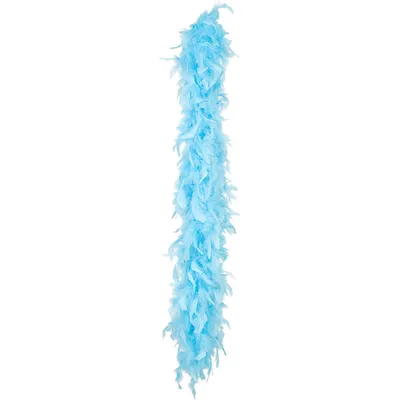 Image de Boa de plumes de carnaval turquoise 50 g