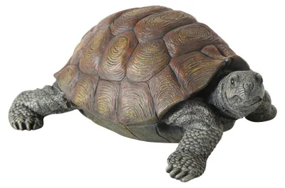 Produktbild von Schildkröte Slowmotion - Länge 34 cm - Gartenfigur Deko Tierwelt