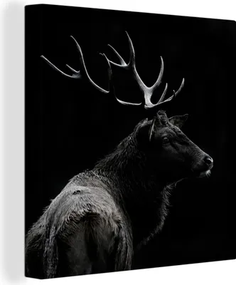 Produktbild von OneMillionCanvasses® - Obrazy na plátně - Jelen - Černá - Bílá - Parohy, nástěnná malba, nástěnné dekorace obrazy obývací pokoj, 90x90cm