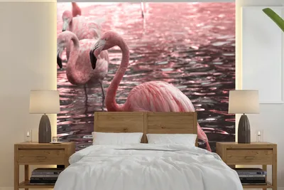 Produktbild von MuchoWow® Fototapete für Wohnzimmer oder Schlafzimmer Wandtapete Vinyl Motivtapete Eine Gruppe von Flamingos steht im Wasser - 260x260 cm - Papiertapeten