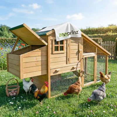 Produktbild von zooprinz Hühnerstall Hühnerhaus Komfort | mit Auslauf | XXL | 190x114x65cm (BxHxT) | Massivholz | Wetterfest | Nistkasten