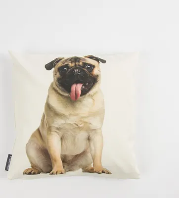 Produktbild von Schöner Leben Kissenhülle Mops braun weiß 40x40cm