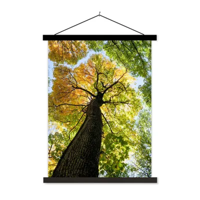 Produktbild von MuchoWow® Textilposter Baum - Natur - Wald 60x80 cm mit schwarzem Rahmen - Plakathalter