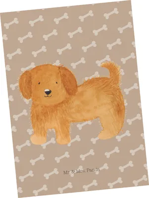 Produktbild von Mr. & Mrs. Panda Fotokarte Hund Flauschig - Hundeglück - Geschenk, Postkarte, bildkarte, Süß, Ansichtskarten, Postkarten, einzelkarte, Kunstkarten, Niedlich, Hunde