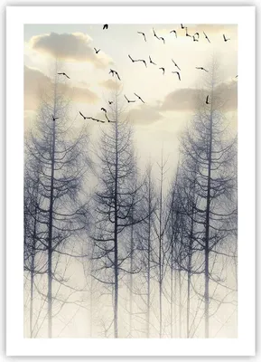 Produktbild von Poster - Poster ohne Rahmen - Bäume Vögel Himmel - 50x70 cm - Wand Bild - Wanddeko - Wandbilder - Kunstposter - Wandposter - Bilder - Kunstdruck - Wanddekoration - Wandbild - P2XPA50x70-4546