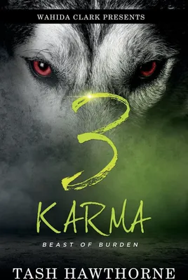 Produktbild von Karma 3