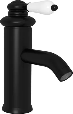 A black faucet with a white handle against a white background.