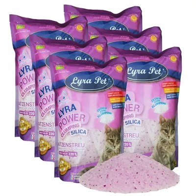 A group of six bags of Lyra Pet cat litter.