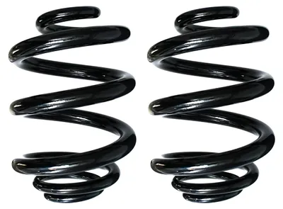 Image de Jeu de ressorts de suspension – Ressort hélicoïdal arrière Ø 165 mm SPIDAN pour divers véhicules