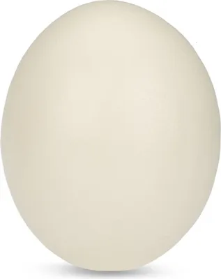 Produktbild von Straußenei aus Polystone ( Künstlich )– großes Osterei naturgetreu 15x12 cm – wetterfeste Osterdeko für Innen & Außen – Deko Ei für Frühling, Schale, Vase, Tisch oder Garten