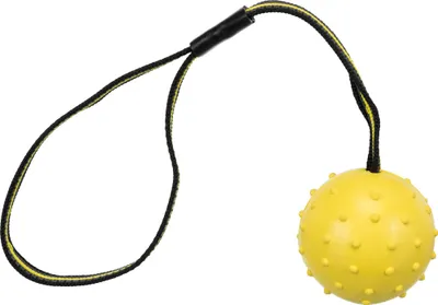 Zdjęcie produktu dla Trixie Piłka sportowa na pasku z naturalnej gumy ø 6 cm / 35 cm