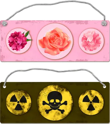 Produktbild von Giftgas oder Blumen Wendeschild mit Kordel Schild Türschild Türhänger Dangler
