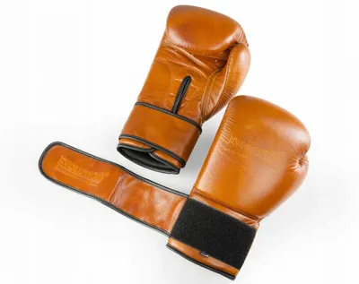 Obrázok produktu pre Profesionálne boxerské rukavice Evolution Retro z prírodnej kože 14 oz