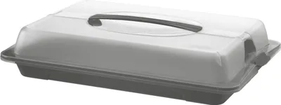 Produktbild von Rotho Kuchentransportbox John medium 44 x 30 cm grau