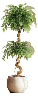 Obrázok produktu pre Umelo vyzerajúci figovník, výška 150 cm, viac ako 1134 listov, elegantný kvetináč s priemerom 18 cm, vhodný na vnútornú výzdobu, vetvy sú nastaviteľné
