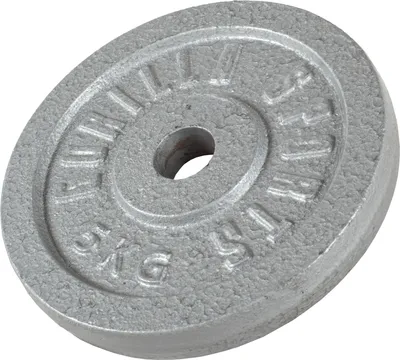 Produktbild von GORILLA SPORTS® Hantelscheiben - 5 kg Gewichte, 30/31 mm, Gusseisen, Silber - Gewichtsscheiben, Bumper Plates