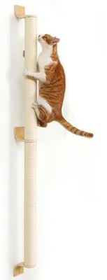 Imagen del producto de Omgoods - Árbol para gatos de 152 cm - Estante para gatos para gatitos