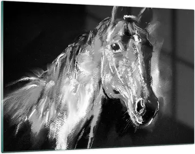 Produktbild von Bilder auf glas - Pferd Natur Tier - 120x80cm - Glasbilder - Wandbilder - Kunstdruck - zum Aufhängen bereit - Wanddekoration aus Glas - Glas Bilder - Wandbild auf Glas - Einteilig - GAA120x80-3426