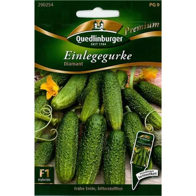 Produktbild von Quedlinburger Saatgut - Einlegegurken Diamant - Samen - 290254