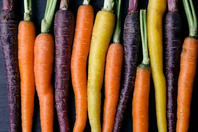 Produktbild von Bunter Karotten Mix - min. 100 Samen