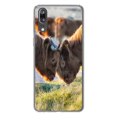 Produktbild von MuchoWow® Handyhülle Schutzhülle Hülle für Huawei P20 Schottische Highlander - Tiere - Sonne Silikon Softcase Handy Hülle - Hardcover