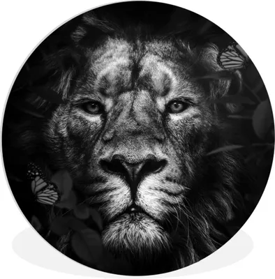 Produktbild von MuchoWow® Rundes Wandbild - Runde Bilder Schmetterling - Löwe - Pflanzen - Schwarz - Weiß Ø 30 cm Kreis Wanddekoration Kunststoff - Wandkreis - Wandschmuck - Schlafzimmer - Bilder - Der Kreis - Kunst für die Wohnung - Plastik - Kunstdruck - Wandbild