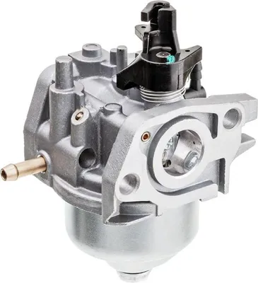 Zdjęcie produktu dla Gaźnik Cedrus Y139V 480394