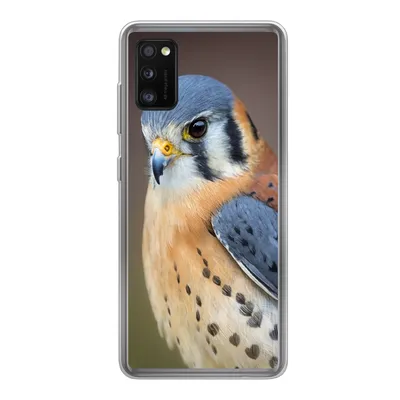 Produktbild von MuchoWow® Handyhülle Schutzhülle Hülle für Samsung Galaxy A41 Vogel - Makro - Blau Silikon Softcase Handy Hülle - Mobiltelefon